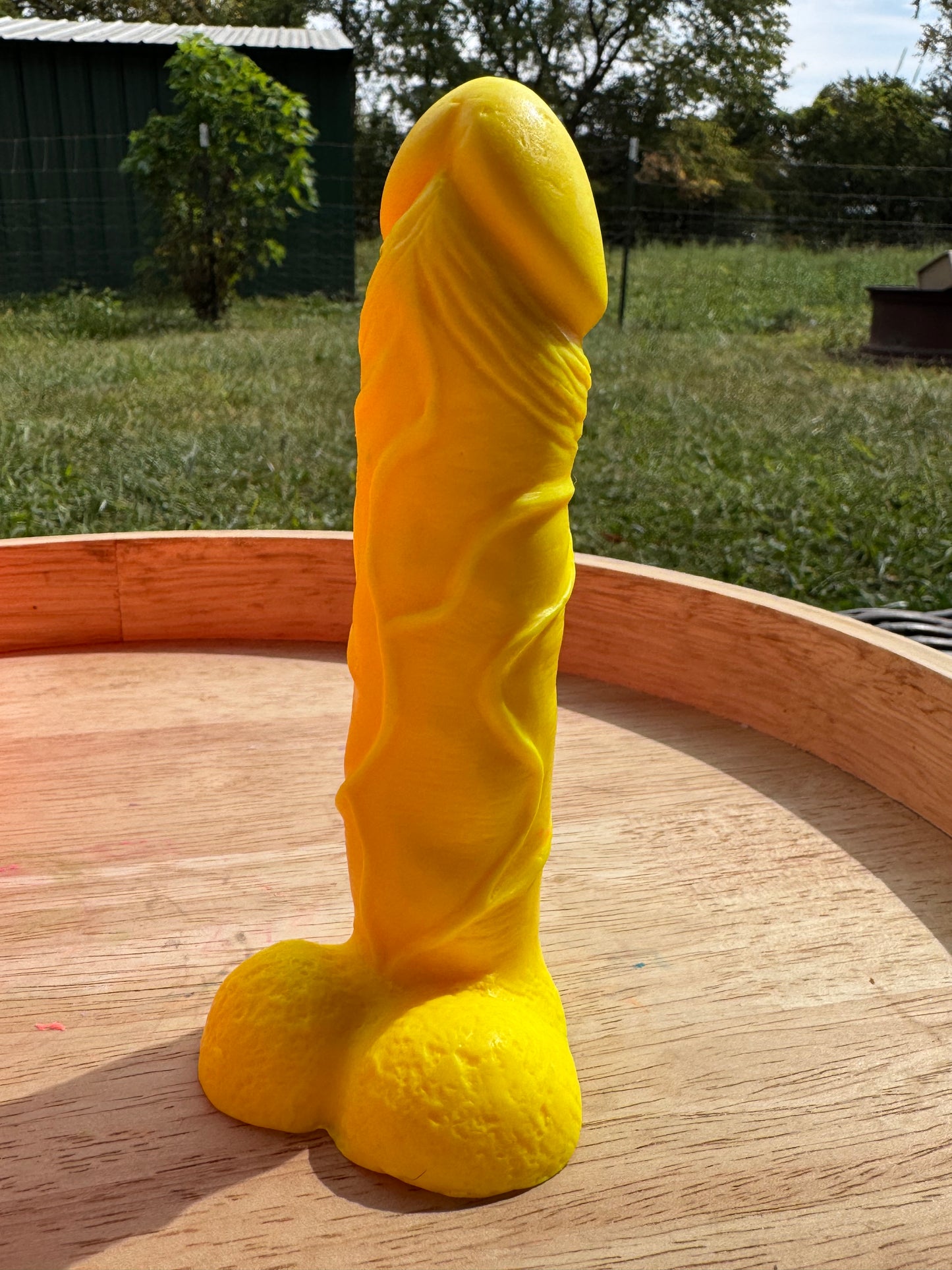 Penis Soap